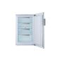 Bosch GFD18A60 Freezer / A ++ / 97 L / White / Super-freezing cabinet