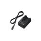 Sony BC-QM1 Battery Charger for W, M, V, H, P Series (1500mA, USB) (Accessories)