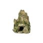 Europet Bernina 234-104569 aquarium decoration Stone, 19 cm, moss (Misc.)