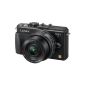 Panasonic Lumix DMC-GX1XEF-K Digital Camera SLR 16 Mpix 14-42mm Power Zoom Black (Electronics)