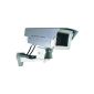 Elro CS66D Dummy professional dummy camera with flashing LED (Personal Computers)