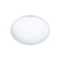 Steinel 738013 Interior light sensor RS 16 L, white, IP44, with motion sensor technology, sensor invisible, high-frequency, energy-efficient, 60W, opal (household goods)
