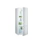 Gorenje RK 61620 W cooling-freezer / A ++ / 162 cm height / 12:56 kWh / 232 L refrigerator / freezer 53 L / 4 Star Freezer Rating / 2 recessed door shelves / white (Misc.)