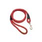 Nylon dog leash with swivel metal hook Different colors (Miscellaneous)