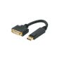 TPFNet Premium Adapter DisplayPort to DVI-I 24 + 5 pin 29pin 20cm 0.2m with gold-plated plugs System (Electronics)