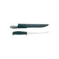 Marttiini knife Finnish Fillet knife, inexpensive, blade 19 cm, stainless, plastic sheath 904 619 (equipment)