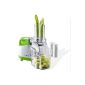 HOBERG Compact Power Mixx, multipurpose kitchen appliance, White / Green (household goods)