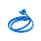 2 x SATA cable 3 - Original Blue Light - 6Gb cable (46cm)