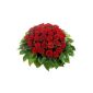 36 Red Roses, 1Strauß (garden products)
