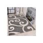 From Creator Pattern Carpet Grey White Petit Pprix Super Quality, Size: 160x220 cm (Housewares)