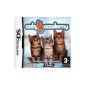 Cats Academy (Video Game)