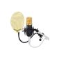 Pronomic CM-22 large diaphragm microphone XLR condenser microphone incl. Popkiller SET (1.25 