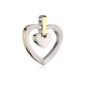 Boccia ladies pendant titanium heart Gp, Pol / satellite 0728-02 (jewelry)