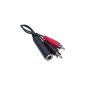 Belkin adapter cord jack F 6.35 to 2 RCA M 10 cm (Accessory)