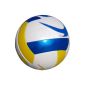 Volleyball beach volleyball PRO FREE with pump
