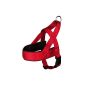 Premium Comfort harness, Dog L-XL: 68-88 cm / 50 mm, red - comfortable to wear thanks to the neoprene lining ventral (Miscellaneous)