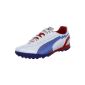 Puma evoSPEED 5 TT 102588 Men's sports shoes - football (Textiles)