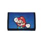 Case for DSi / DS Mario 3 - blue (Video Game)