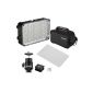 Aputure® AL-H198C 95+ CRI 198 LED Video Light Camera Portable with Carry Bag (Adjustable brightness & color temperature) for Nikon D4S / D4 / D800 D3X Nikon D810 / D800E D750 D610 D300S D7100 D7000 D5300 D5200 D5100 D3300 D3200 D3100 COOLPIX S6900 COOLPIX S810c COOLPIX P600 COOLPIX S6800 (Electronics)