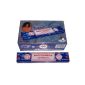 Incense Satya Nag Champa Blue 180g economy pack 12 boxes of 15g (Personal Care)