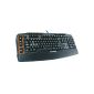 Logitech G710 + Mechanical Gaming Keyboard (QWERTZ, german keyboard layout) (Personal Computers)