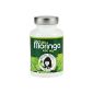 MORINGA 450mg - Melanie Wenzel Edition - Bio quality - The most nutritious plant on earth (90 capsules) (Health and Beauty)