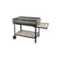Barbecue grill cart, BBQ charcoal grill, charcoal grill incl. Wheels (garden products)
