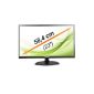 MEDION P55018 MD 20408 58,4cm (23 inch) LED backlight monitor (Full HD, HDMI, DVI, OSD, 2 integrated speakers, 16: 9, EEK: A) (Electronics)