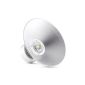Light Craft "High Bright" industrial lamp ceiling lamp LED industrial spotlight for indoor and industrial lighting (50 watt, 50cm screen for ceiling, aluminum) neutral white