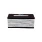 DICE Bluetooth Portable Speaker PURE SOUND PARTY - sound power 88 db + hands-free system with microphone for audio conference (Electronics)
