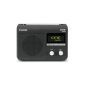 Pure ONE FLOW Radio / MP3 Clock Radio (Electronics)