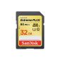 SanDisk Extreme SDHC 32GB Plus Class 10 memory card (UHS-I, 80MB / Sec) (Personal Computers)