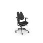 Rohde and Grahl duo back® 11 Ergonomic office chair cover black, with armrests (household goods)