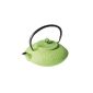 Crealys 507147 Swan Cast Iron Teapot 800 ml Lime Green Diameter: 18 cm (Kitchen)