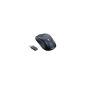 Logitech V450 Laser Cordless Mouse for Notebooks Cordless Mouse Black (Accessories)