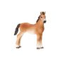 Schleich 13714 - Tennessee Walker yearling (Toys)