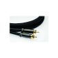 Silent Wire Serie 4 mk² RCA Audio Cable - RCA to RCA - 0.6 meters