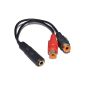 Gold-plated 3.5mm Stereo Jack Female To 2 Female RCA phono adapter cable Court (Electronics)