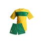 Jersey + shorts - Brazil - Soccer Team Brasil - Official Collection Selecao - Size boy child (Clothing)