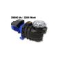 Pool pump - C filter 2200 30600 l / h 2200W Circulation Pump