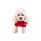 Vogue Clothing Knitted Sweater Pullover Hoodie Star Pattern Small Dog Puppy 2 Colors (Baby Care)