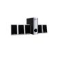ONEconcept NHT-1051 5.1 Surround Sound System PC Audio / DVD / home theater subwoofer (Electronics)
