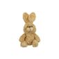 Voice Recording & Talking Plush dog or rabbit Soft Teddy (Toys)