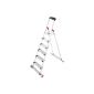 Hailo 8816-151 XXL Garden & Home 6-stage - The first Hailo household ladder for Outside and inside (tool)