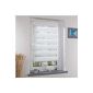 Liedeco DUO blind white Klemmfix, double-blind without drilling with clamp bracket 60 cm x 160 cm (W x L) (household goods)