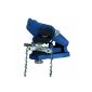 Einhell electric sharpener BG-CS 85 E Chainsaw chain with depth adjustment 4,500,044 (Tools & Accessories)
