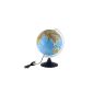 Idena illuminated globe 30cm with halogen energy-saving lamp | Even in a set with blotter (World Map) (Toy)