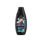 Schauma Anti-Dandruff Intensive Shampoo, 4-pack (4 x 400 ml) (Health and Beauty)