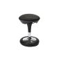 Topstar SI69G22 Stool Sitness 20, reference, anthracite (household goods)