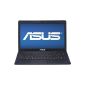 Asus Notebook WX008V X401U-14 
